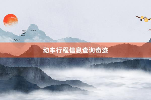 动车行程信息查询奇迹