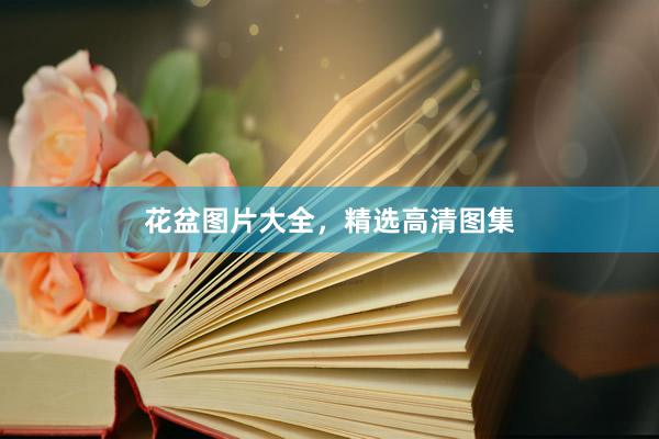 花盆图片大全，精选高清图集