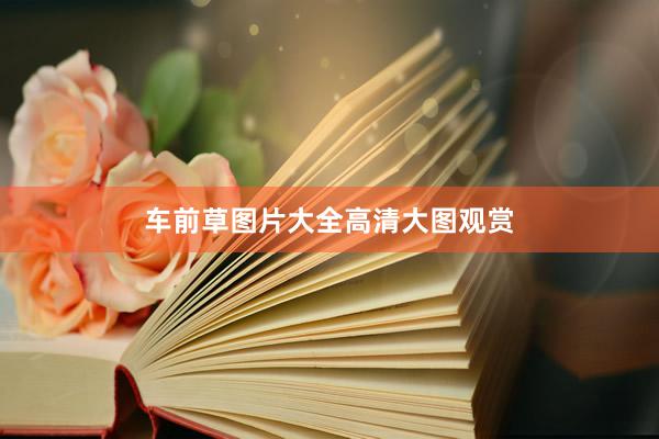 车前草图片大全高清大图观赏