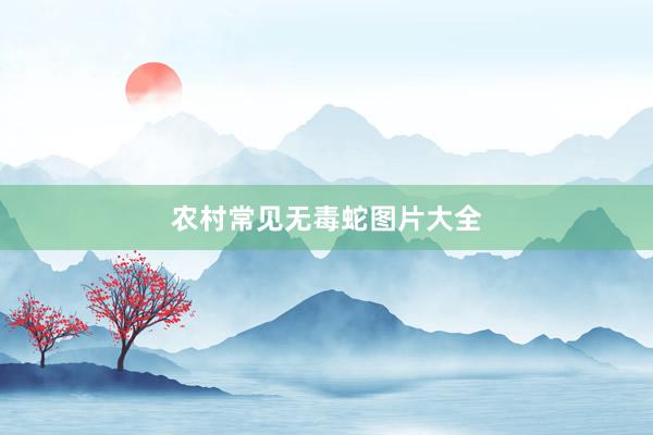 农村常见无毒蛇图片大全