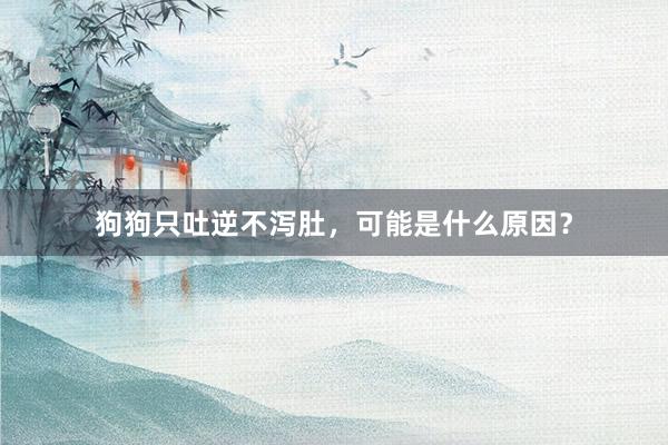 狗狗只吐逆不泻肚，可能是什么原因？