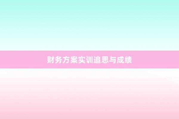财务方案实训追思与成绩