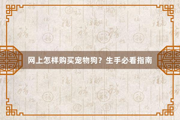 网上怎样购买宠物狗？生手必看指南